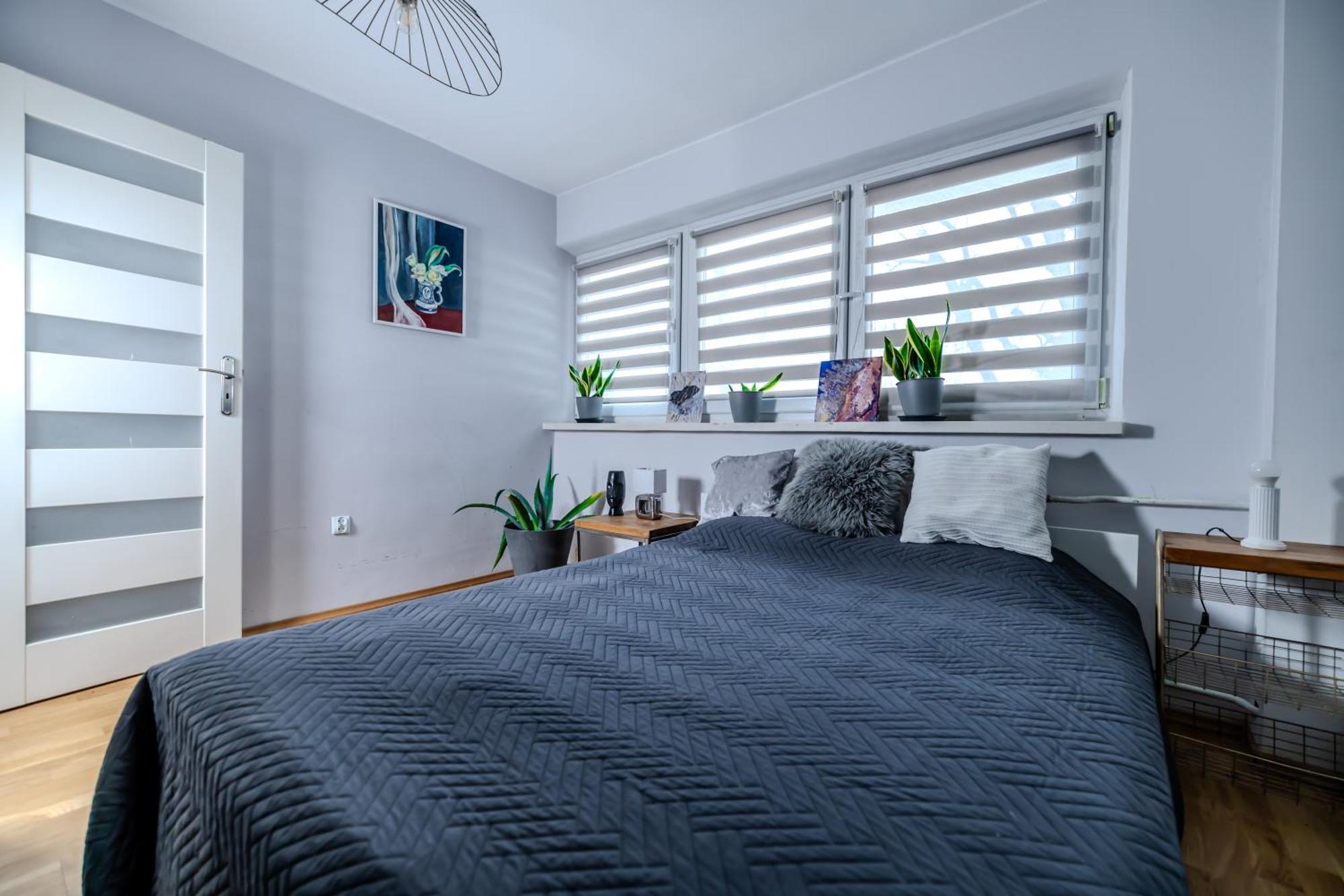 Apartment Ochota